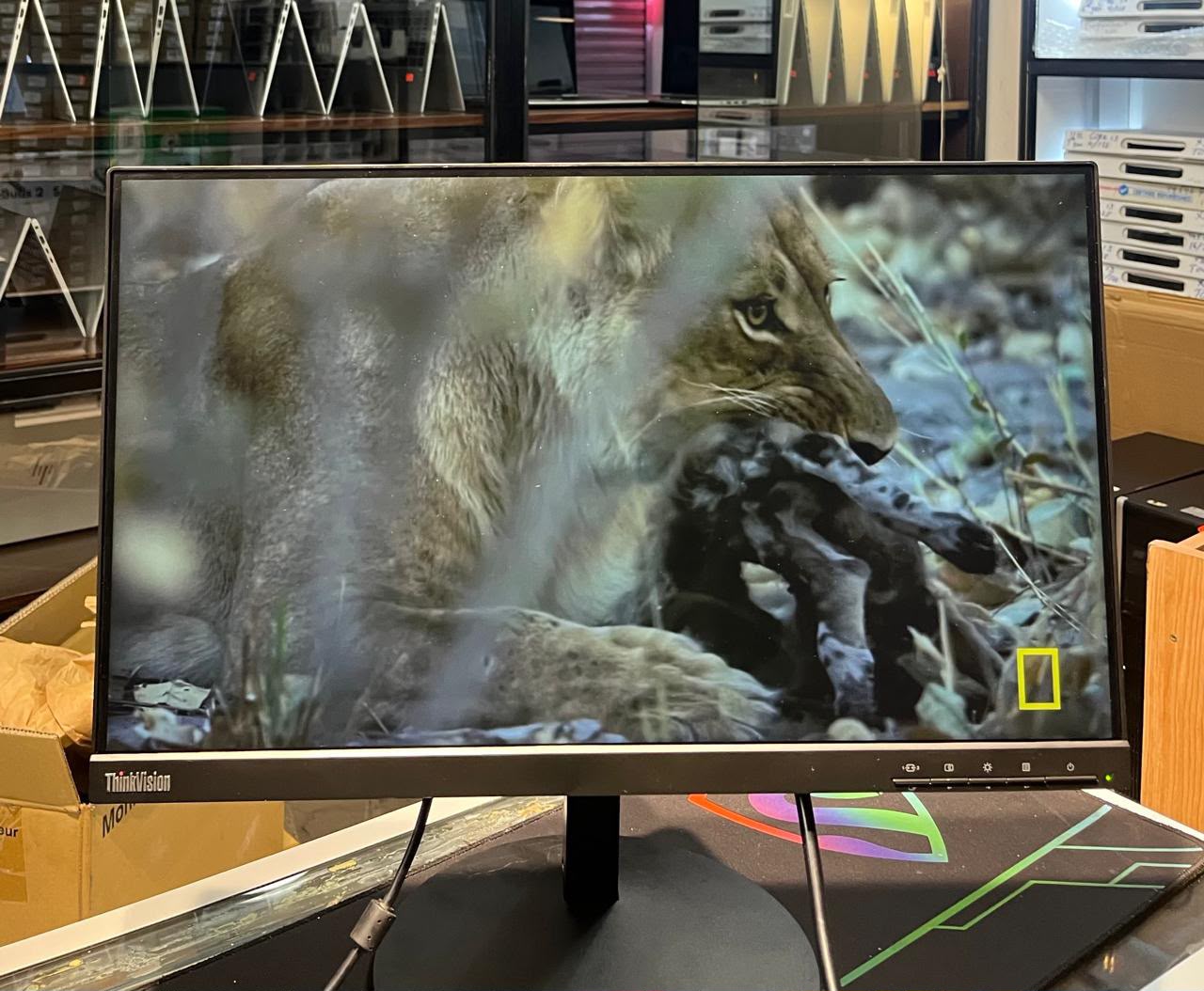 Lenovo ThinkVision T22i-10 | 21.5" IPS | Full HD 1920×1080 | HDMI + DisplayPort + VGA | USB Hub | Adjustable Stand